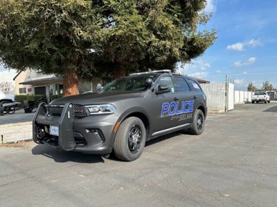 Vehicle Graphics Photo